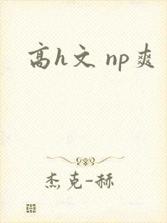 高h文 np爽