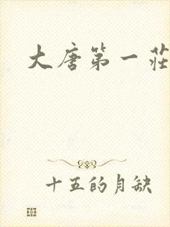 大唐第一庄封面