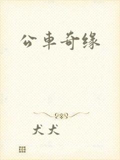 公车奇缘
