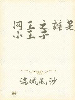 网王之谁是我的小王子
