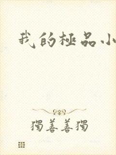 我的极品小姨封面