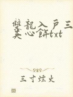双龙入户三人行夹心饼txt