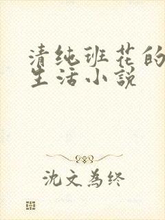 清纯班花的日常生活小说