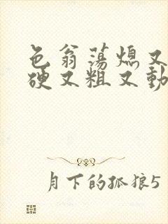 色翁荡熄又大又硬又粗又动态图