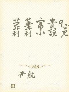 荣华富贵9小王莉莉小说免费阅读