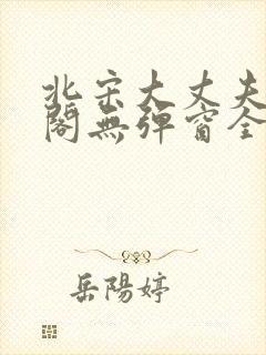 北宋大丈夫笔趣阁无弹窗全文阅读封面