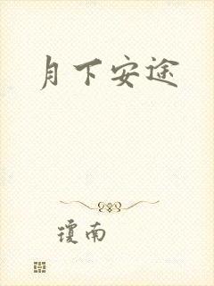 月下安途