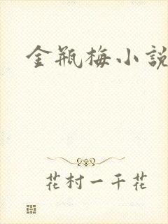 金瓶梅小说封面