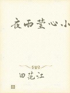 夜雨莹心小说