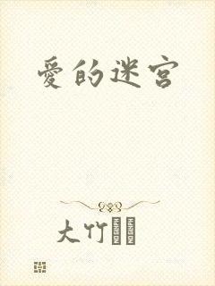 爱的迷宫