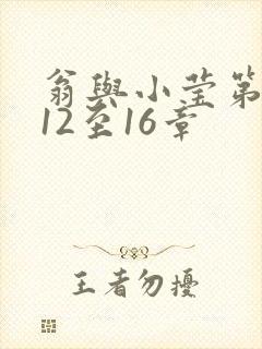 翁与小莹第十部12至16章