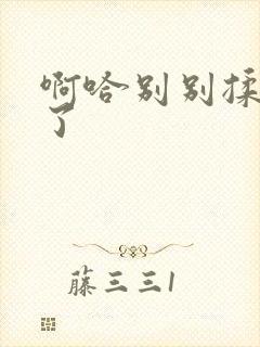 啊哈别别揉那处了封面