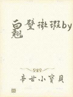 白璧微瑕by连翘