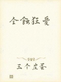 全蚀狂爱封面