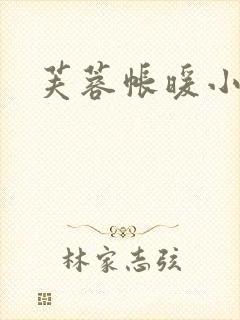 芙蓉帐暖小说封面