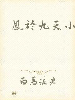 凤于九天小说