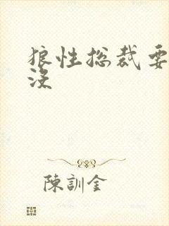 狼性总裁要够了没