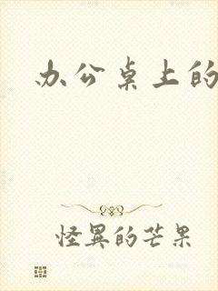 办公桌上的美味