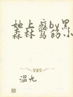 她上瘾by黑暗森林写的小说免费阅读无弹窗