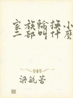 家族轮换小说第二部叫什么名字