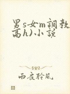 男s女m调教(高h)小说
