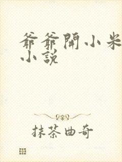 爷爷开小米的包小说