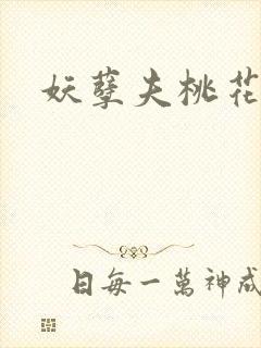 妖孽夫桃花妻封面