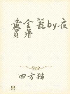 黄金笼by夜很贫瘠封面