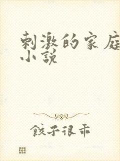 刺激的家庭乱仑小说