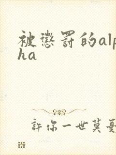 被惩罚的alpha