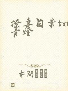 撩妻日常txt青灯