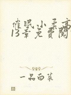 催眠小柔高达第13章免费阅读封面