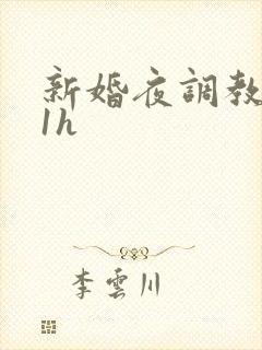新婚夜调教1v1h封面