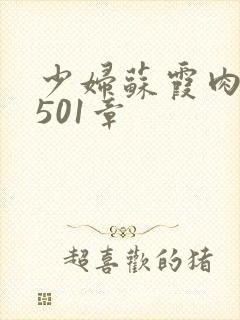 少妇苏霞肉欲第501章