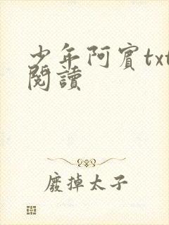 少年阿宾txt阅读封面