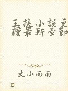 王扶小说免费阅读最新章节无弹窗