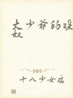 大少爷的暖床小奴