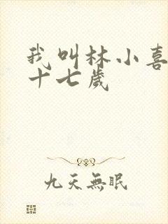 我叫林小喜今年十七岁