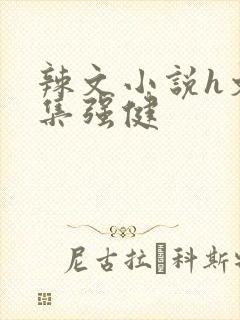 辣文小说h文合集强健封面