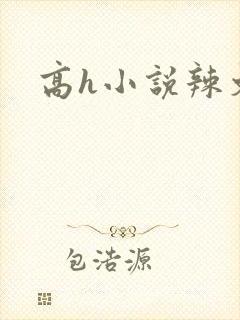 高h小说辣文封面