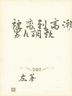 被脔到高潮的直男h调教封面