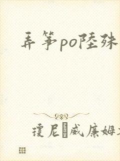 弄筝po陆殊词封面