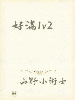 好满1v2