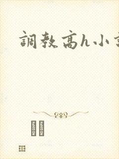 调教高h小说封面