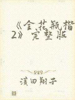 《金花瓶楷梅花2》完整版