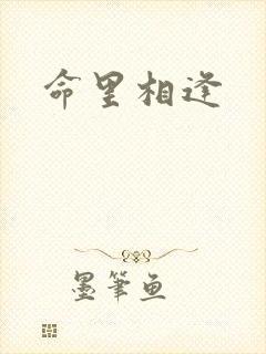 命里相逢