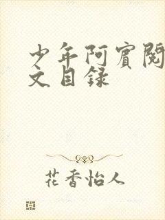 少年阿宾阅读全文目录