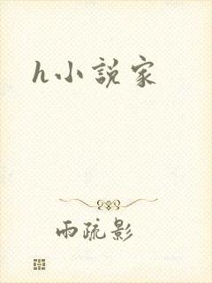 h小说家