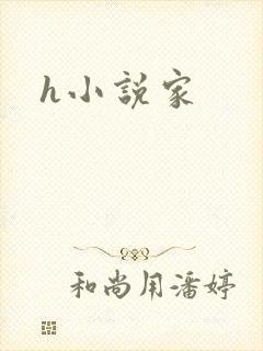 h小说家