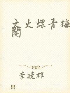 文火煨青梅笔趣阁封面